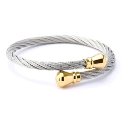 Charriol Bracelets<Celtic® Bangle Bourse Steel