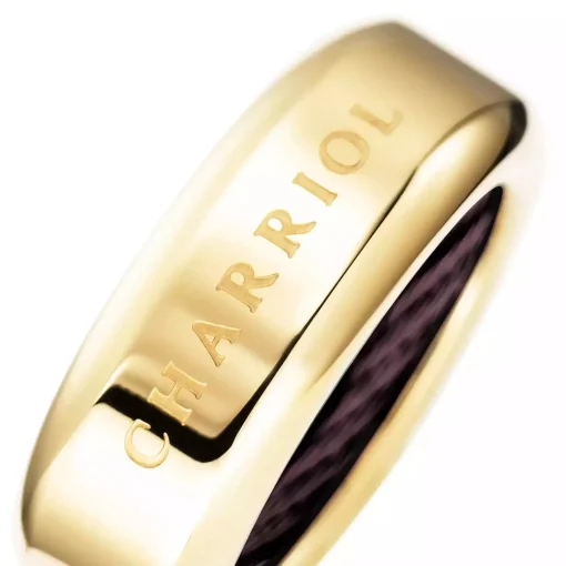 Charriol Rings<Celtic® Dream Ring