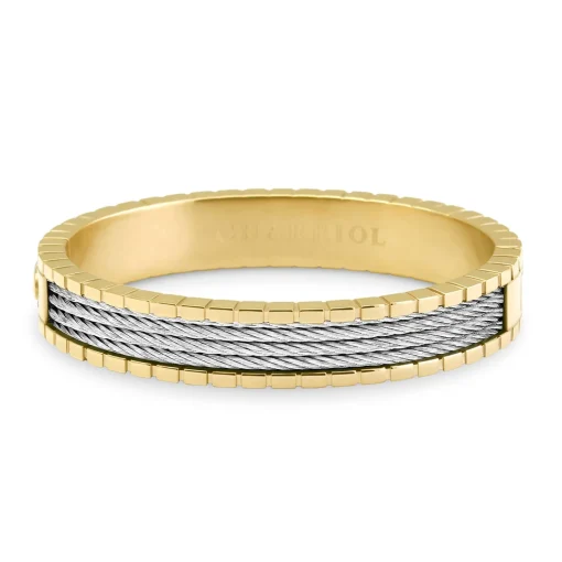 Charriol Bracelets<Forever™ Bangle Personalized Yellow/ Steel