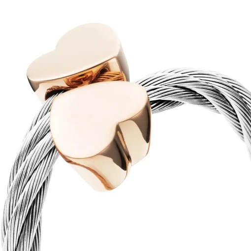 Charriol Rings<Passion Double Heart Ring